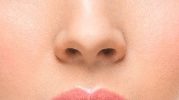 Носовой хрящ поможет восстанавливать суставы при остеоартрозе