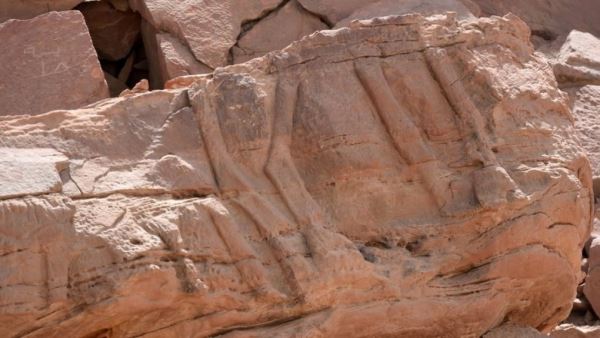 В Саудовской Аравии нашли древнейшие в мире изваяния животных